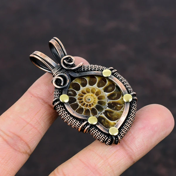 Ammonite Fossil Pear Brown Handmade Copper Wire Wrapped Pendant