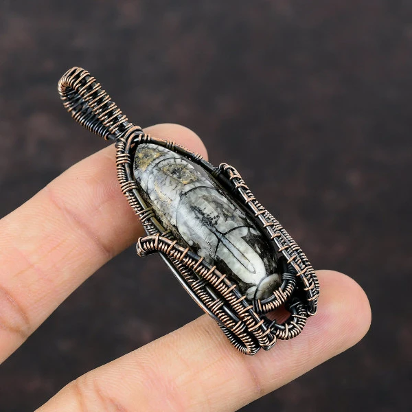 Orthoceras Fossil Pear Black Handmade Copper Wire Wrapped Pendant