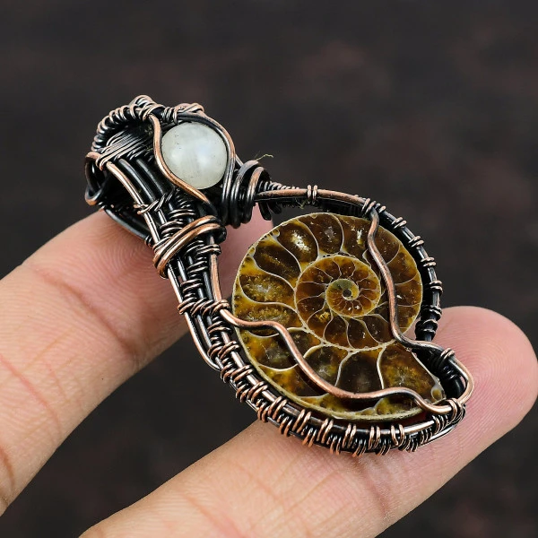 Ammonite Fossil Pear Brown Handmade Copper Wire Wrapped Pendant