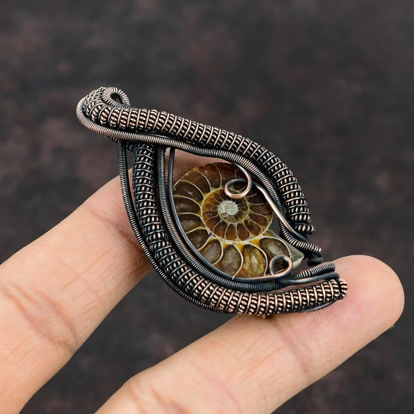 Ammonite Fossil Pear Brown Handmade Copper Wire Wrapped Pendant