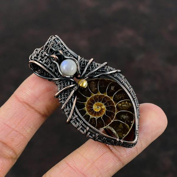 Ammonite Fossil Pear Brown Handmade Copper Wire Wrapped Pendant