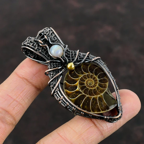 Ammonite Fossil Pear Brown Handmade Copper Wire Wrapped Pendant